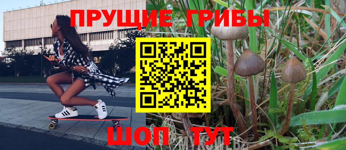 Галлюциногенные грибы Psilocybine cubensis Шали